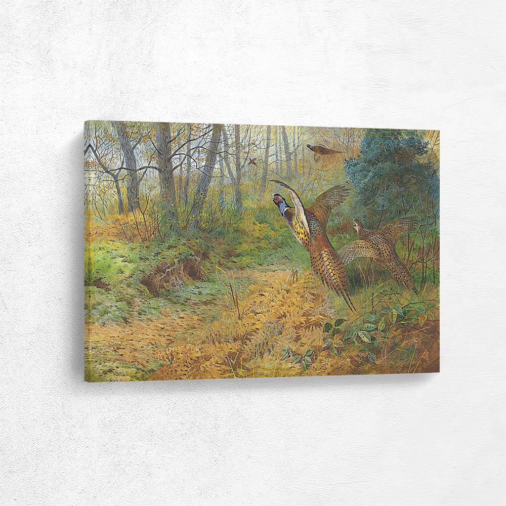 A Pair of Pheasant Rising from Bracken