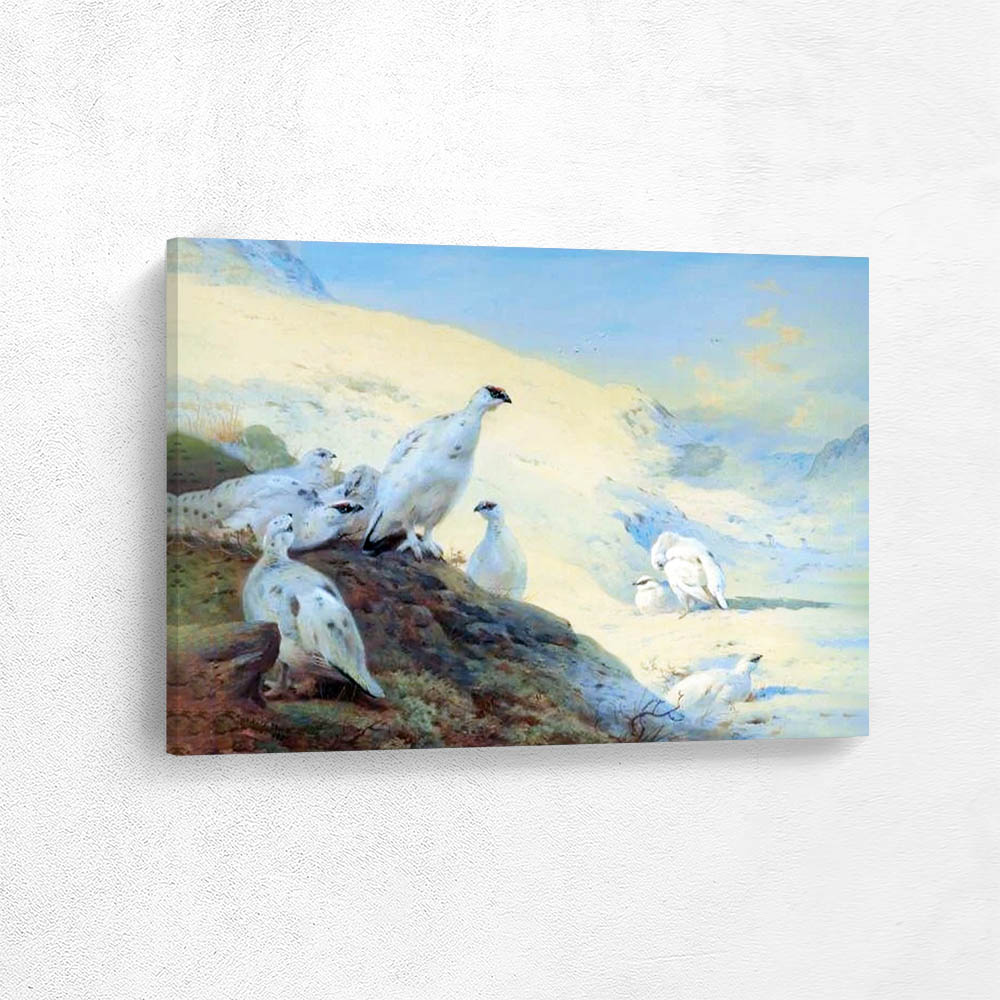 Ptarmigan Calling in the Snow