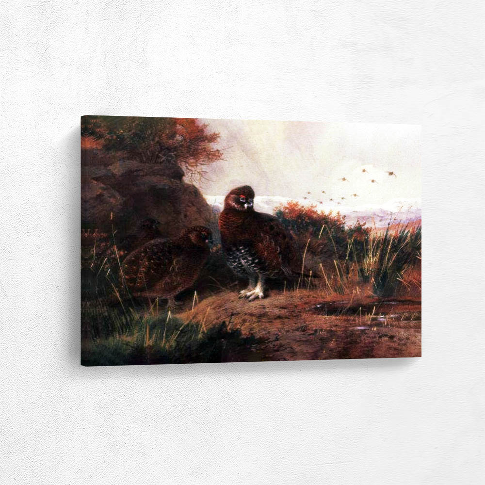 Grouse in a Winter Landscape