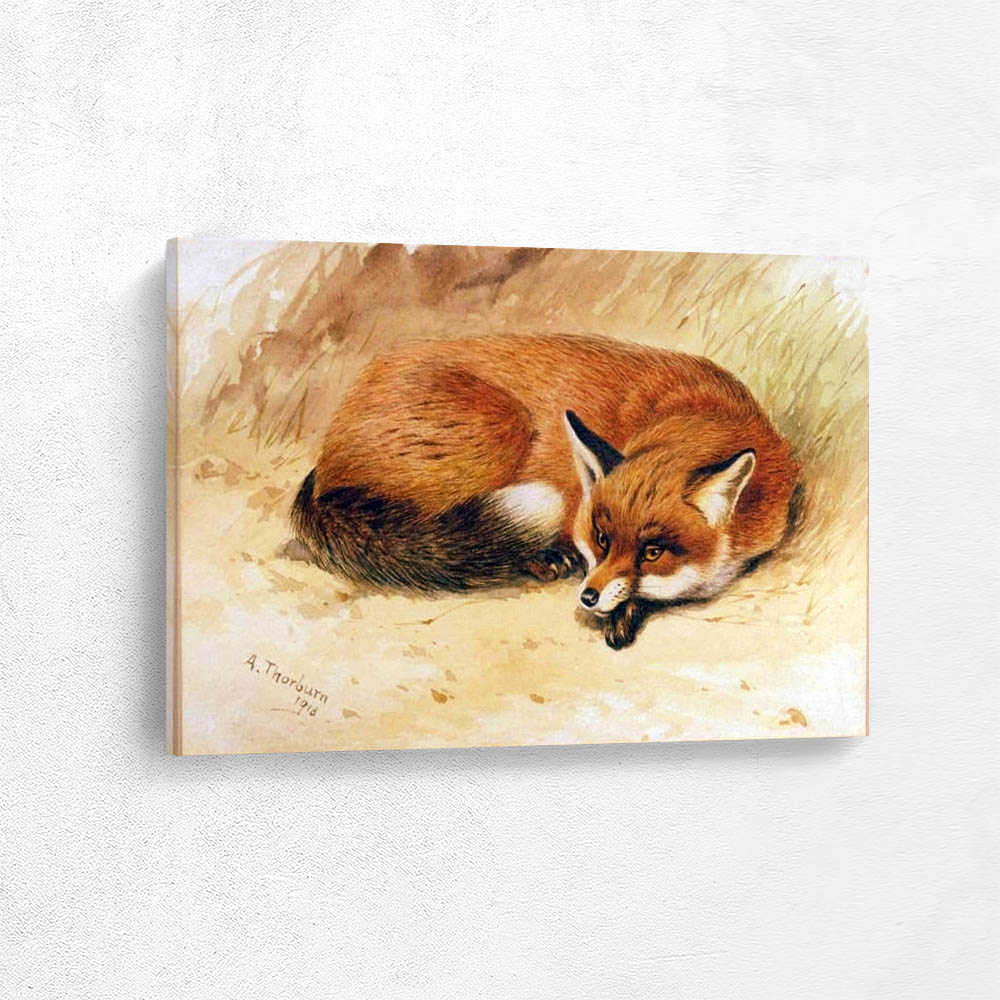 The Fox