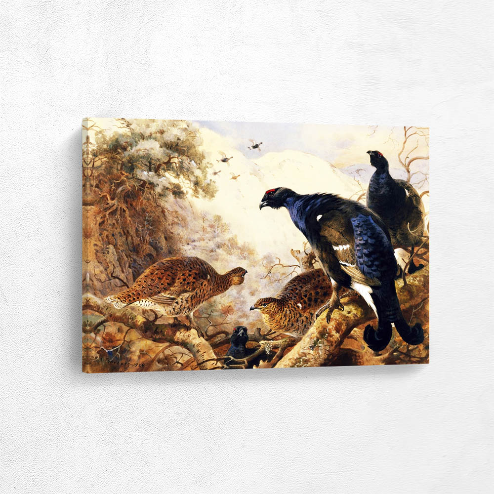 Black Game Perched in the Trees