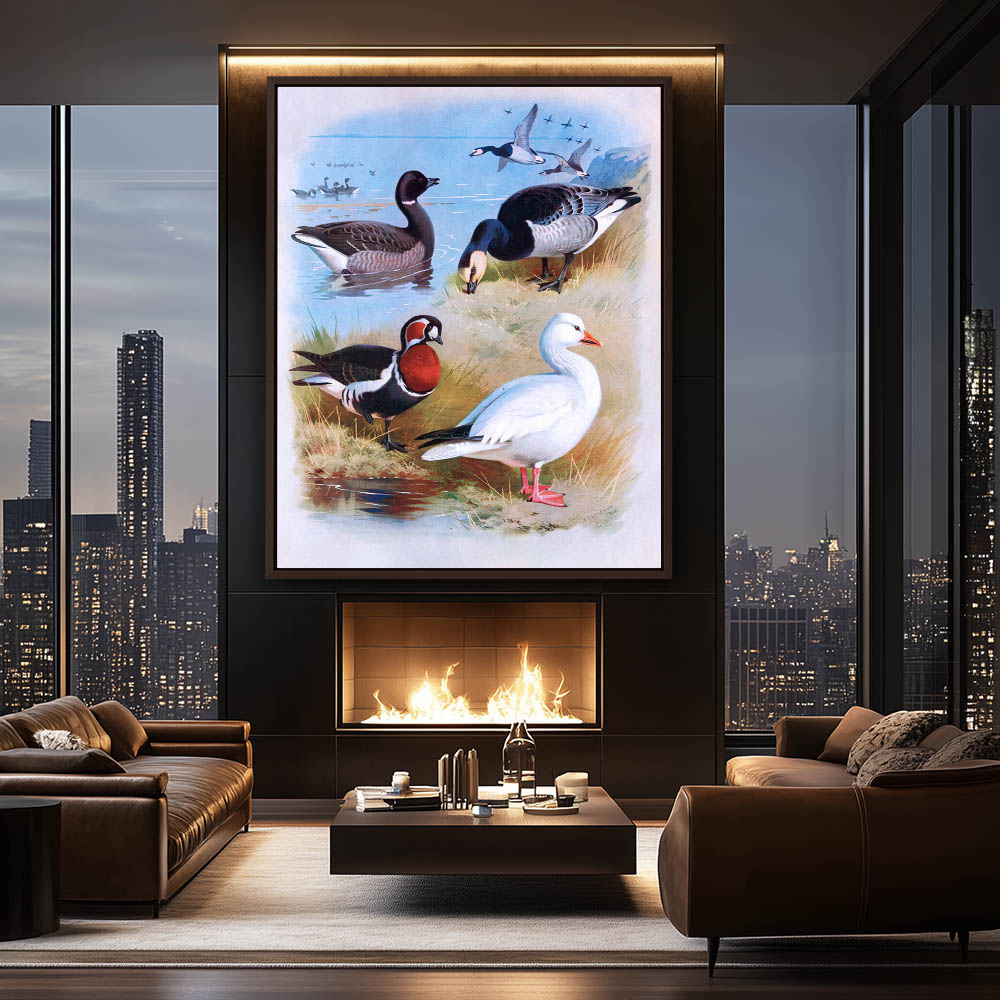 Various Geese - Image 3