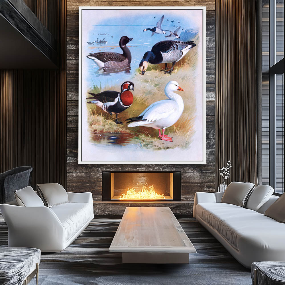 Various Geese - Image 4