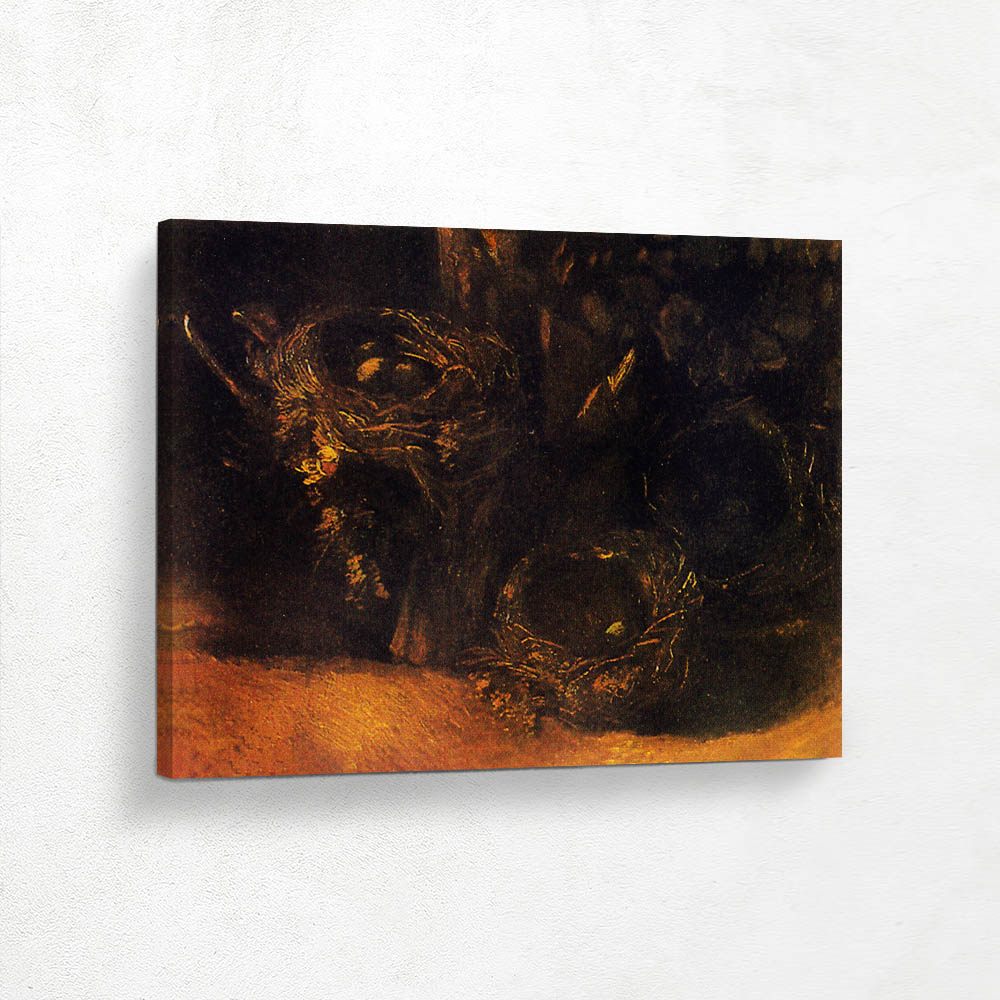 Still Life with Three Bird Nest