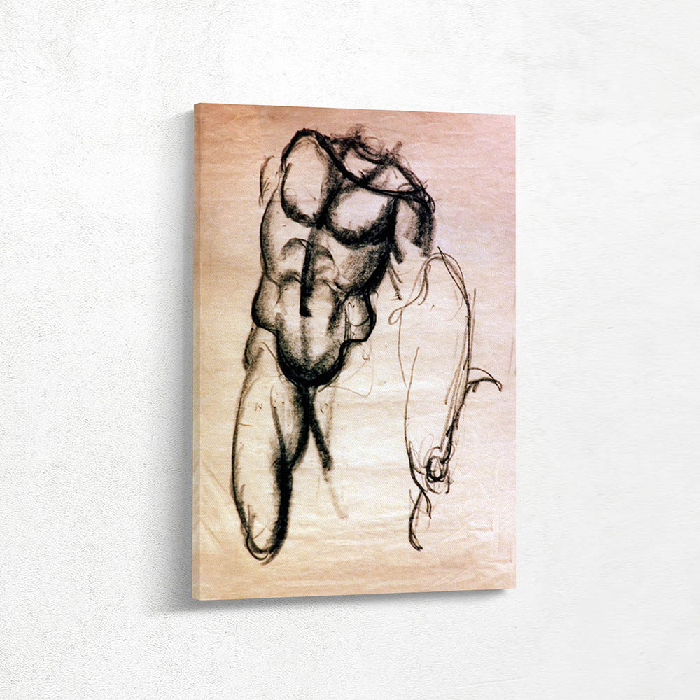 Male Torso from the Front