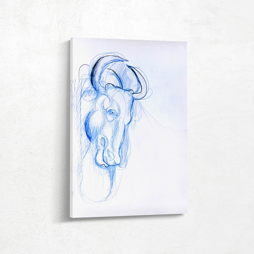 Head of a Bull Drawing