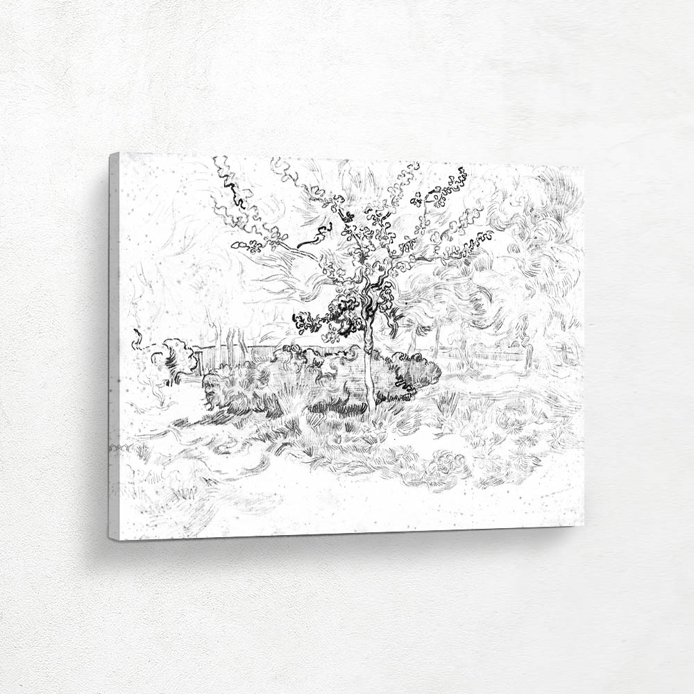 Garden of the Asylum