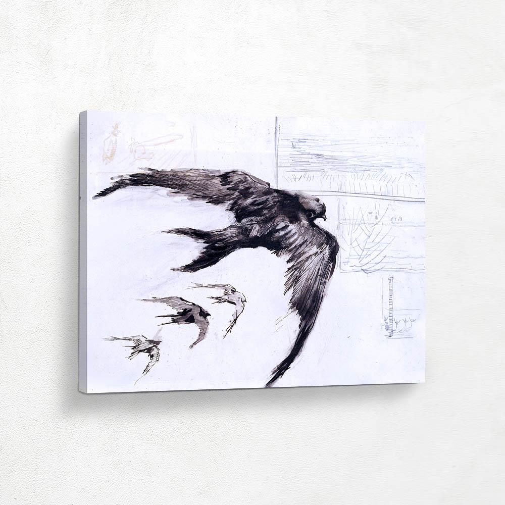 Four Swifts with Landscape Sketches