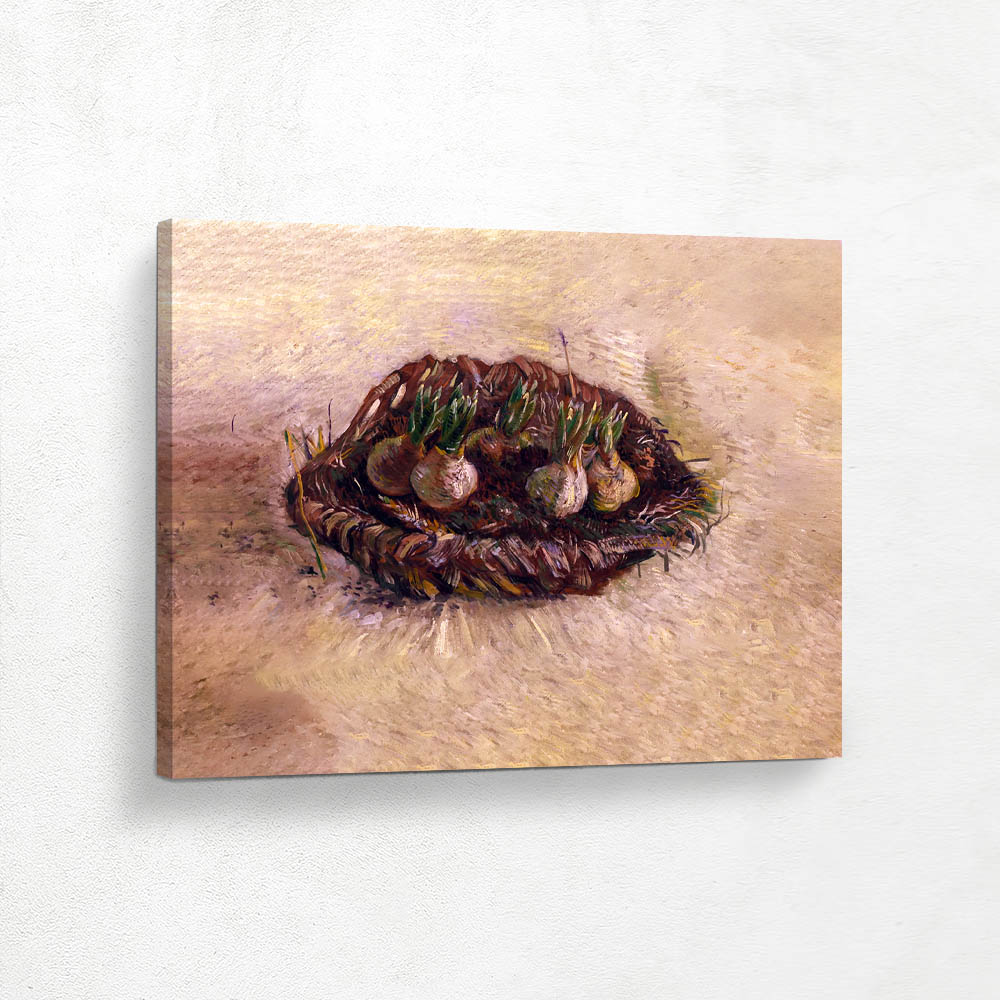 Basket of Hyacinth Bulbs