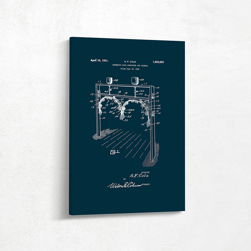 Automatic Back Scratcher for Animals