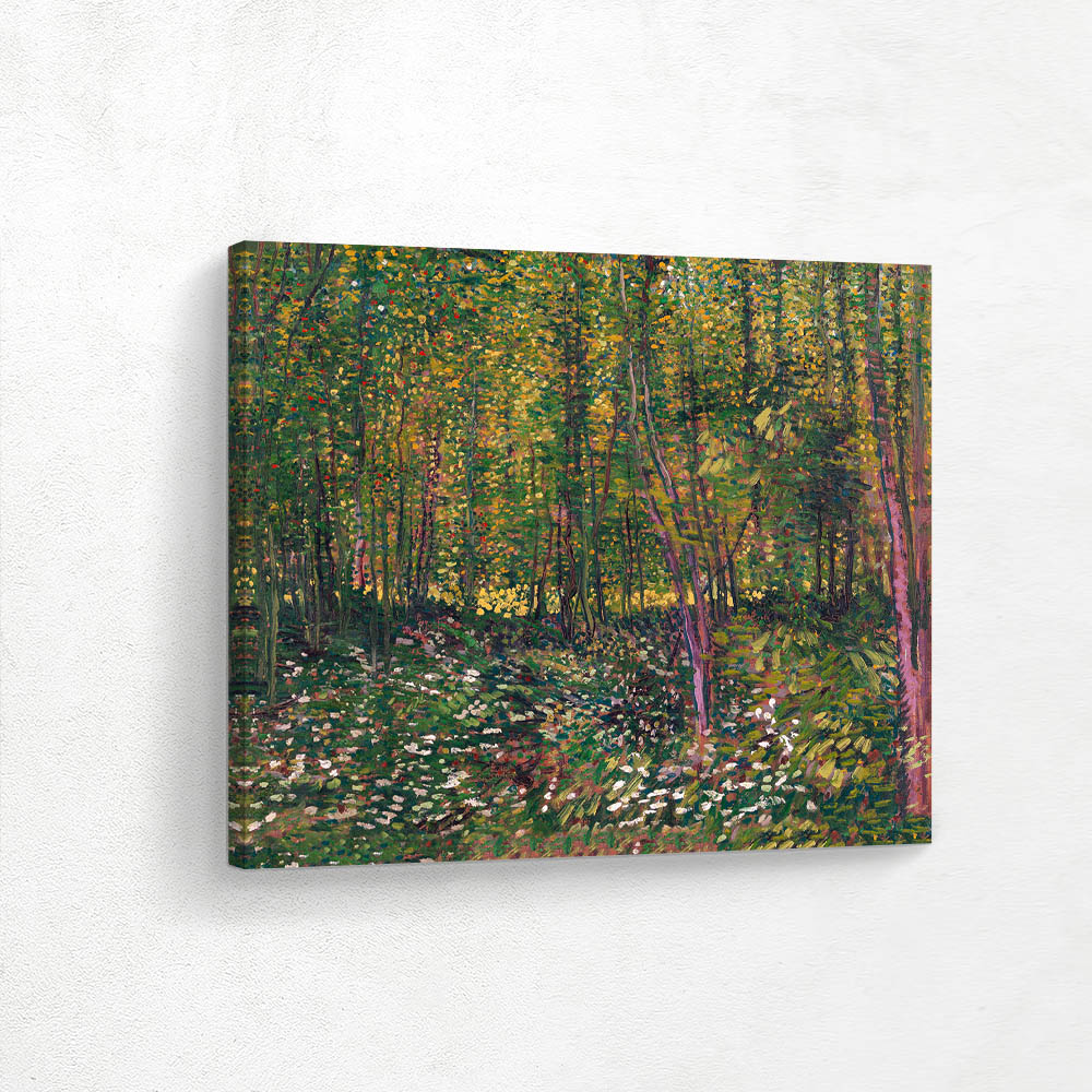Trees and Undergrowth