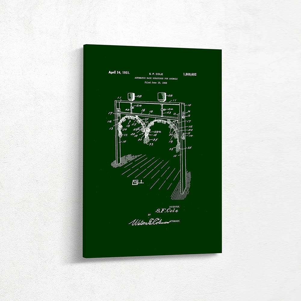 Automatic Back Scratcher for Animals