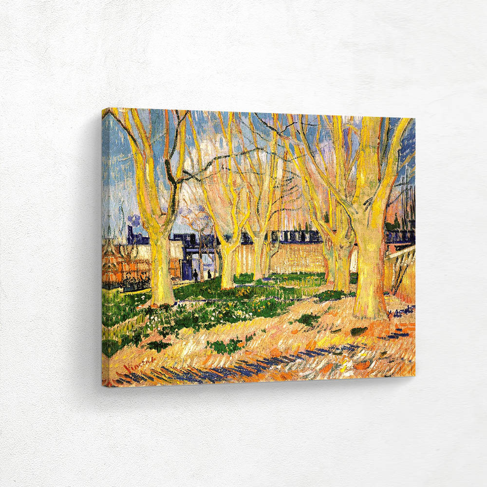 Avenue of Plane Trees near Aries Station