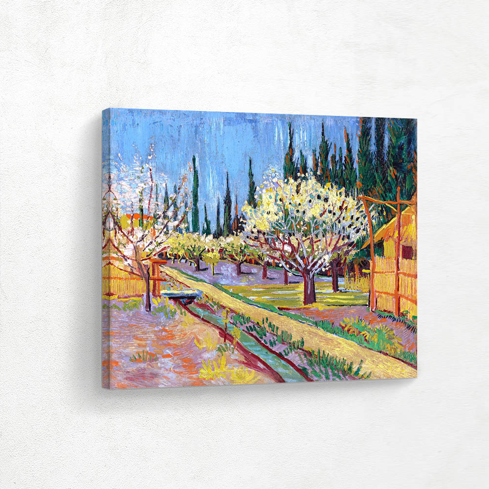 Flowering Orchard Surrounded by Cypress