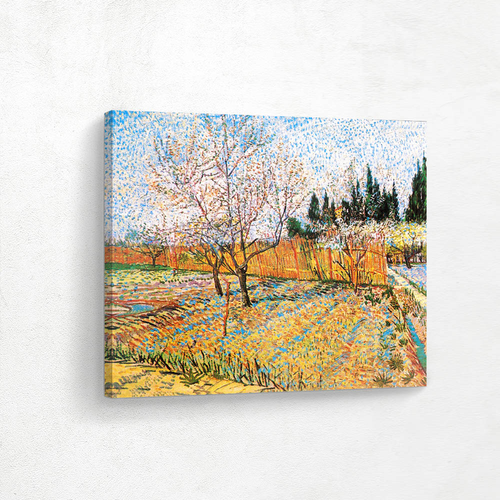 Orchard with Peach Trees in Blossom