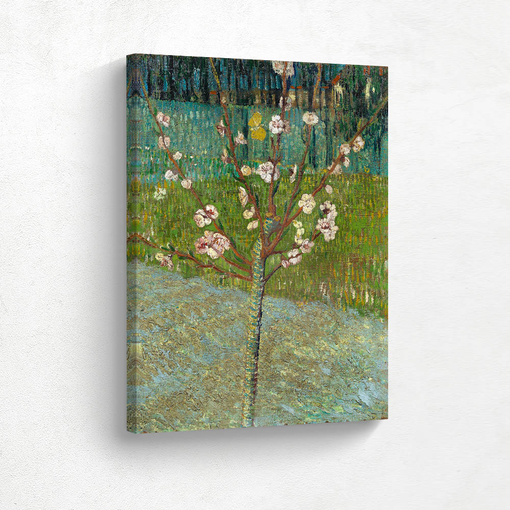 Peach Tree in Blossom Peach Tree in Blossom