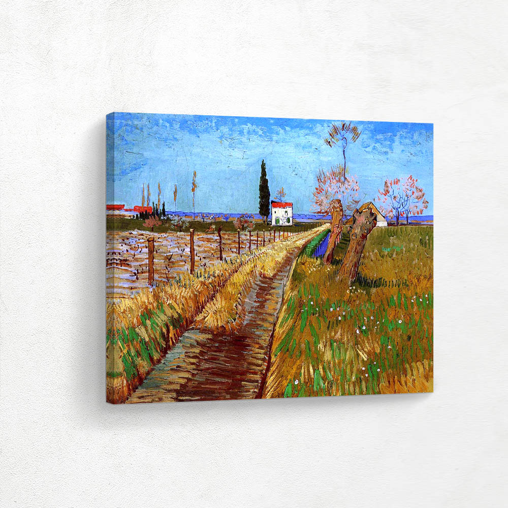 Path Through a Field with Willows