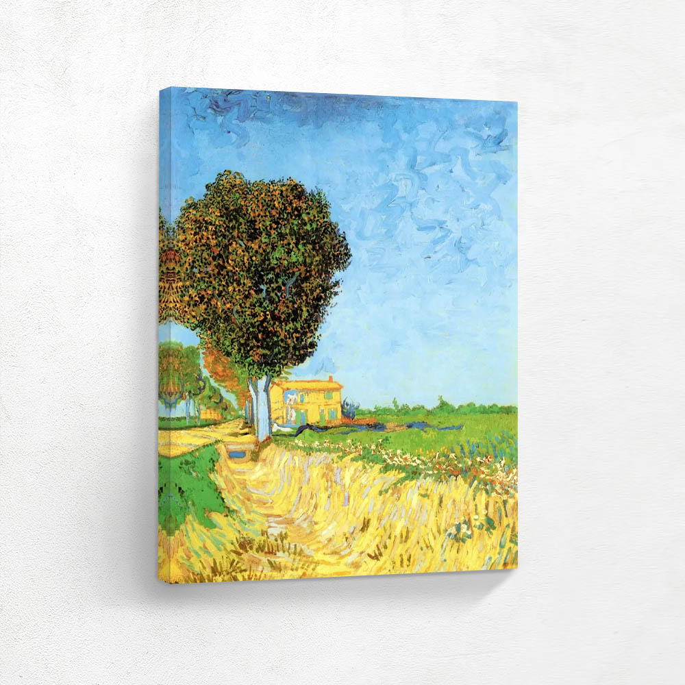 Rural Street Near Arles