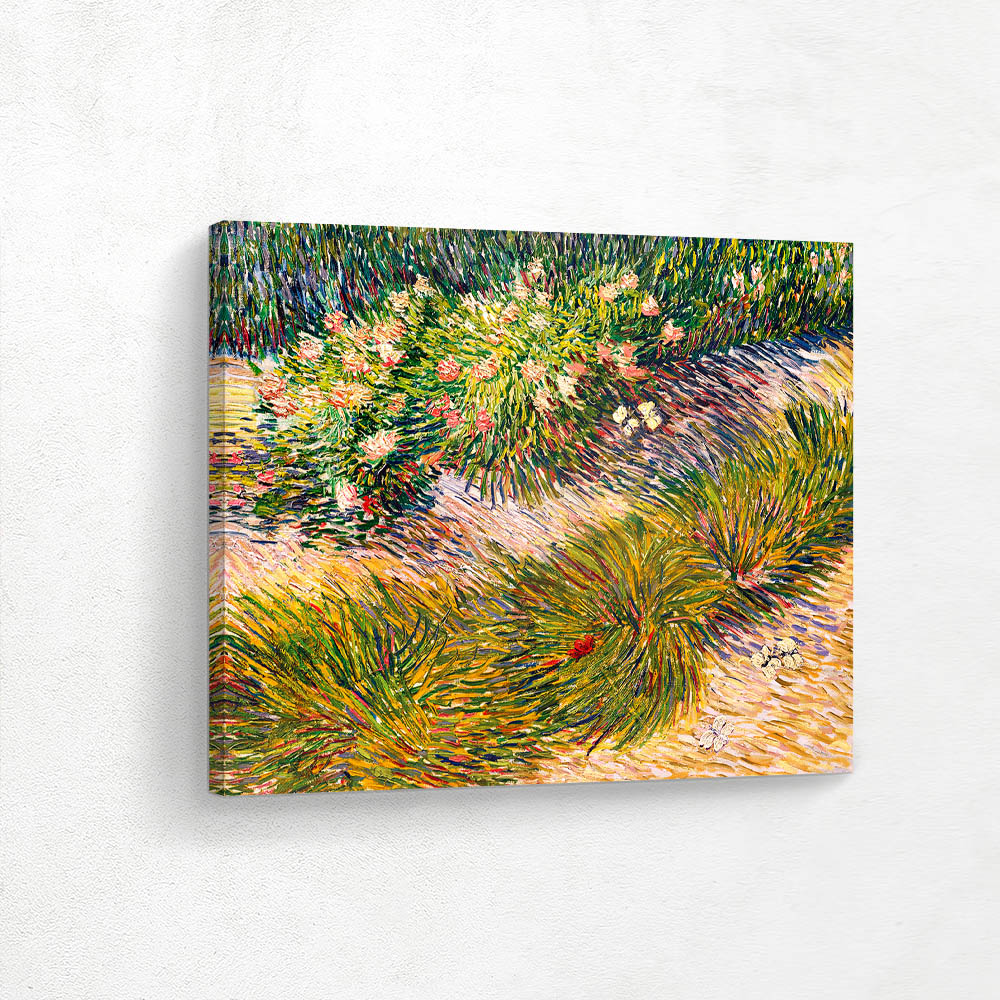 Grass and Butterflies