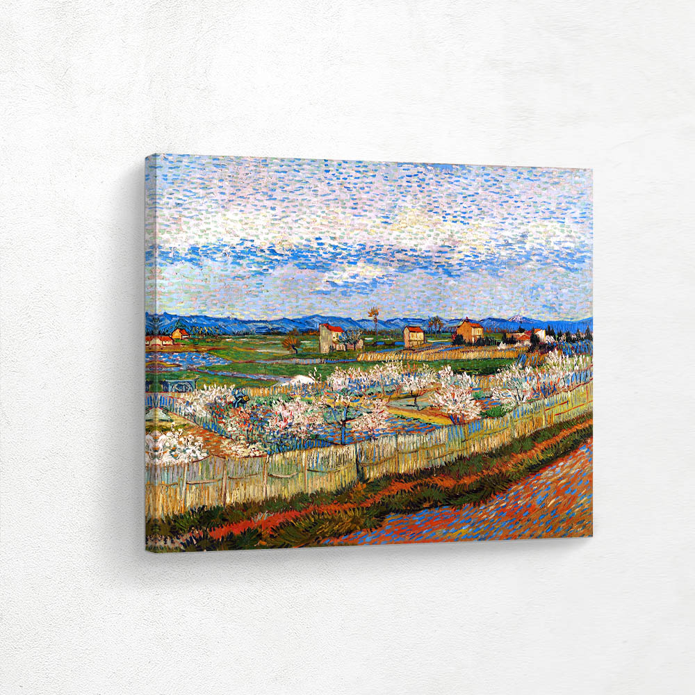 Peach Trees in Blossom