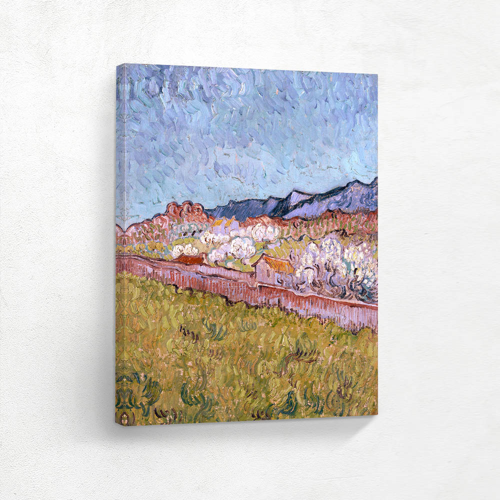 View of the Alpilles