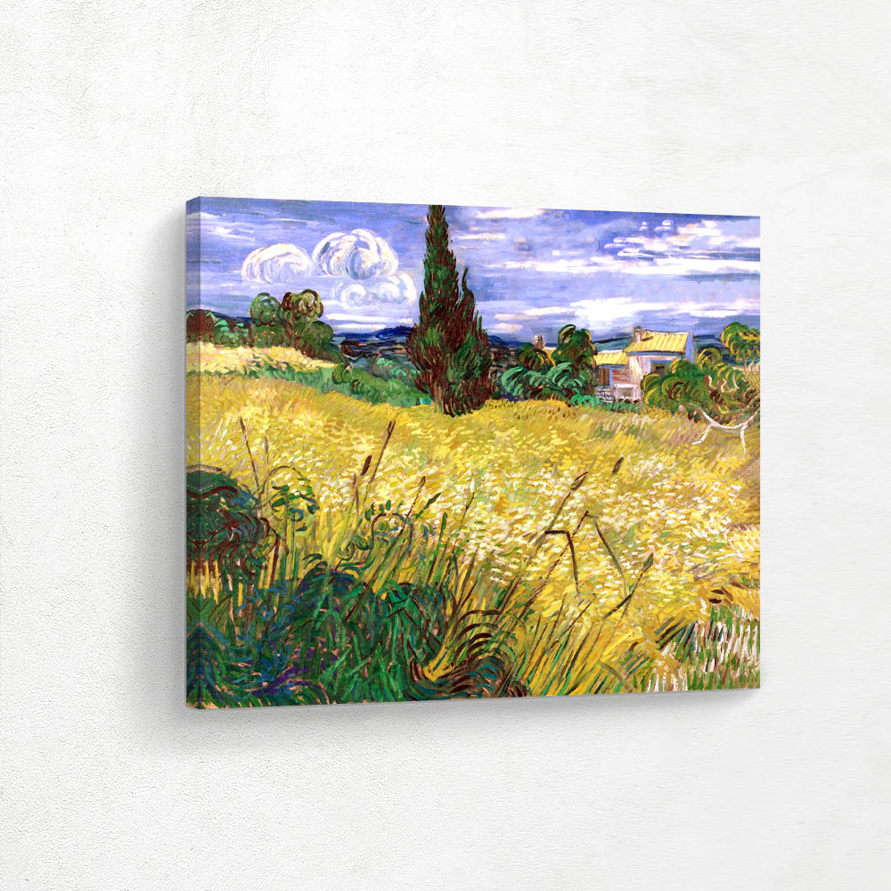 Weatfield Saint Remy de Provence