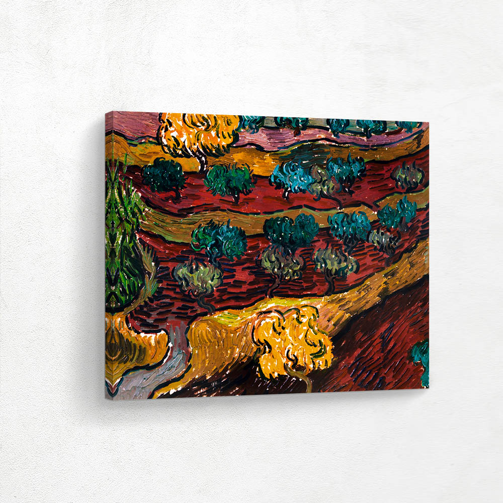 Olive Trees on a Hillside