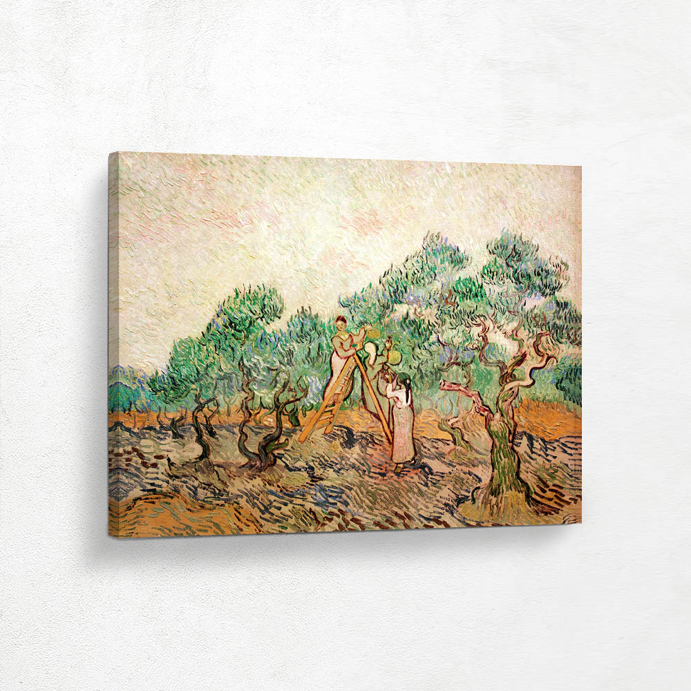The Olive Trees