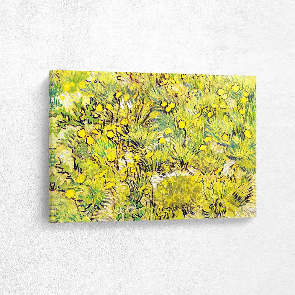 Field of Yellow Flowers