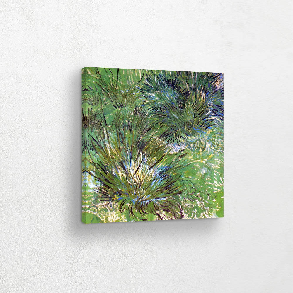 Tussock