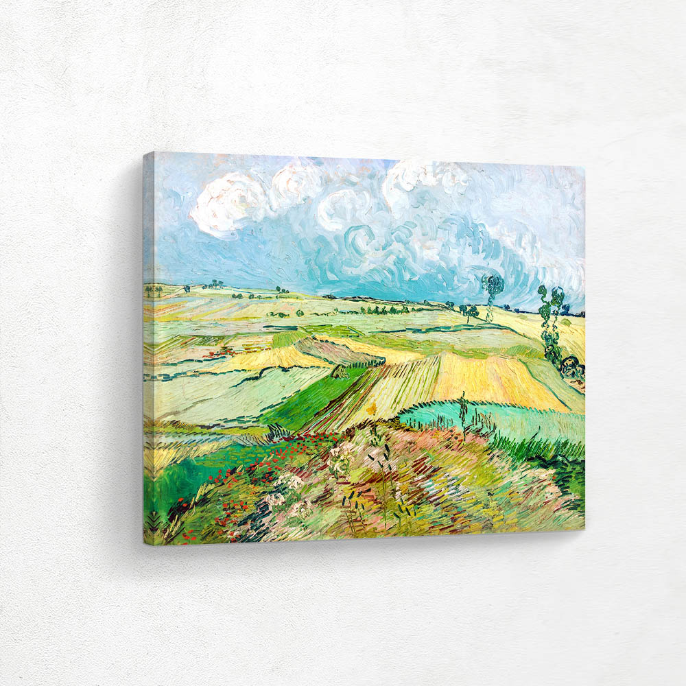 Wheat Fields After the Rain