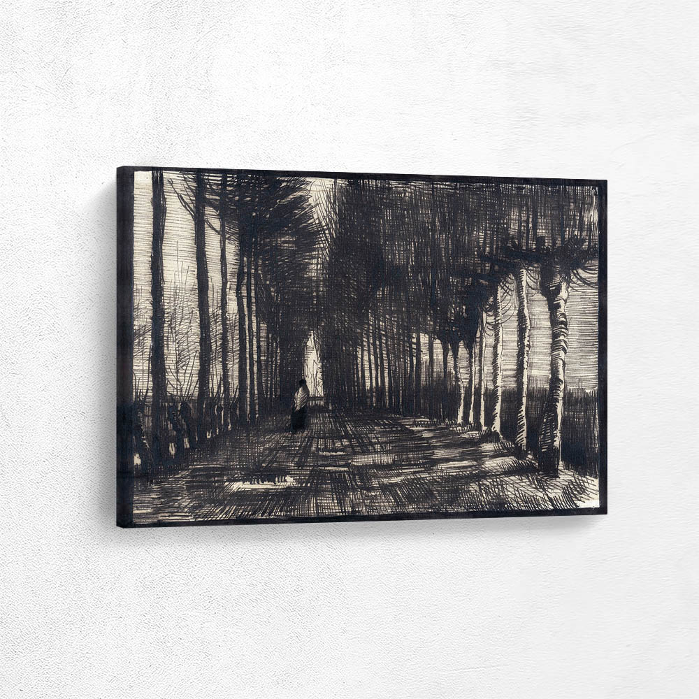 Avenue of Pollard Birches and Poplars