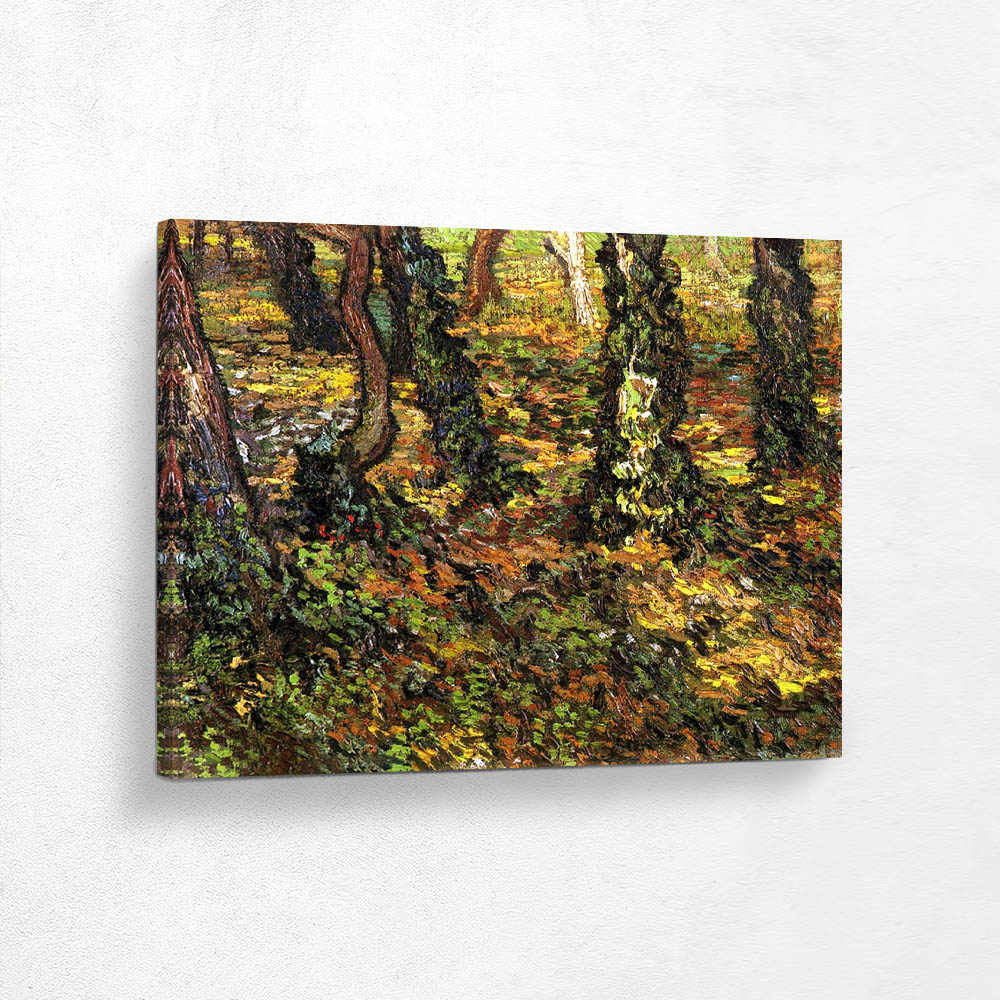 Undergrowth with Ivy