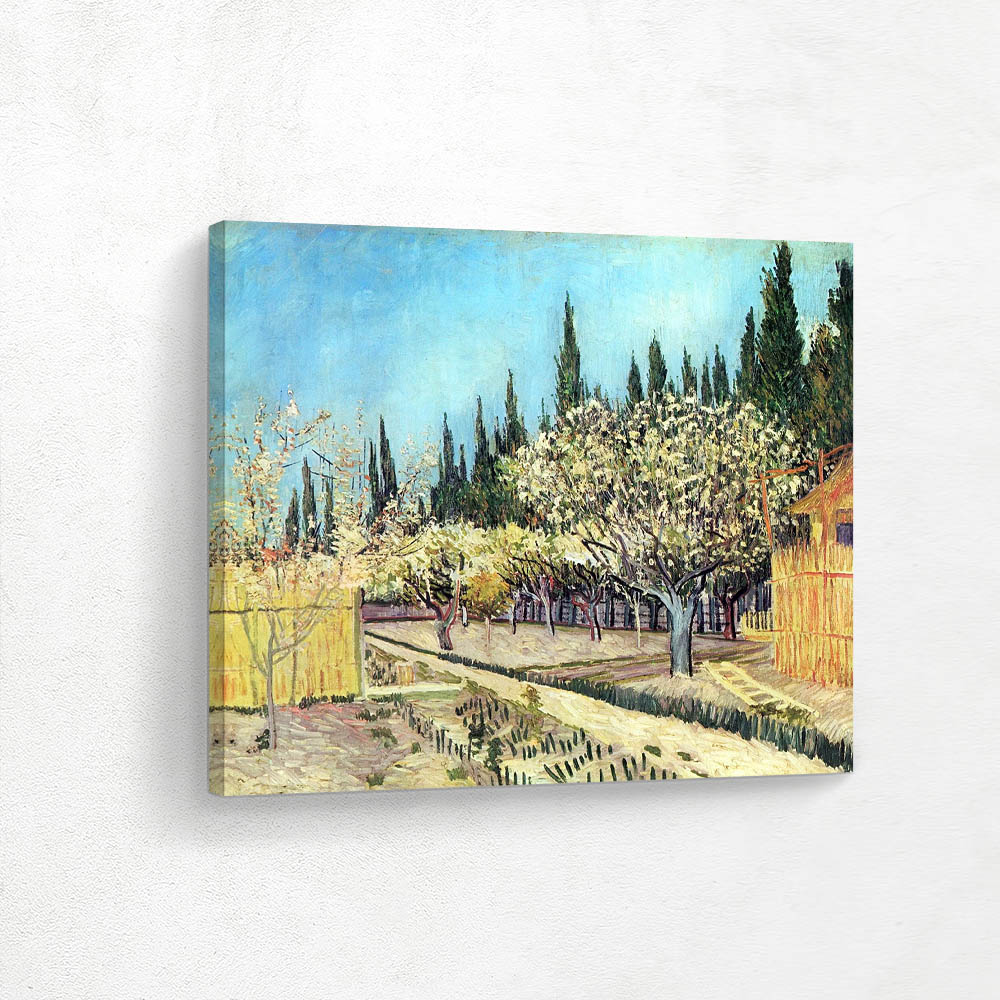 Orchard in Blossom Bordered by Cypresses