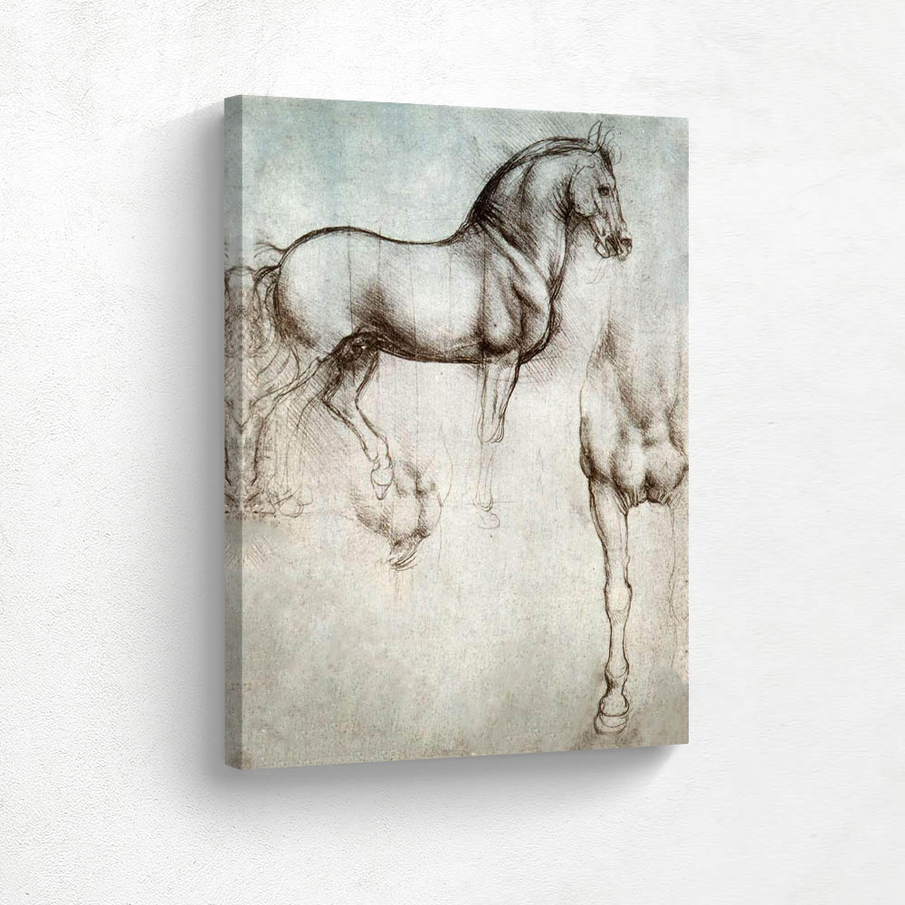 Study of Horse