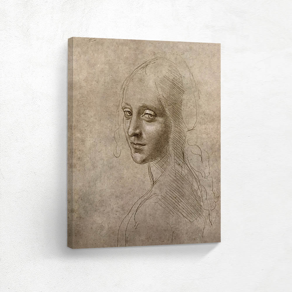 Study for the Head of a Woman