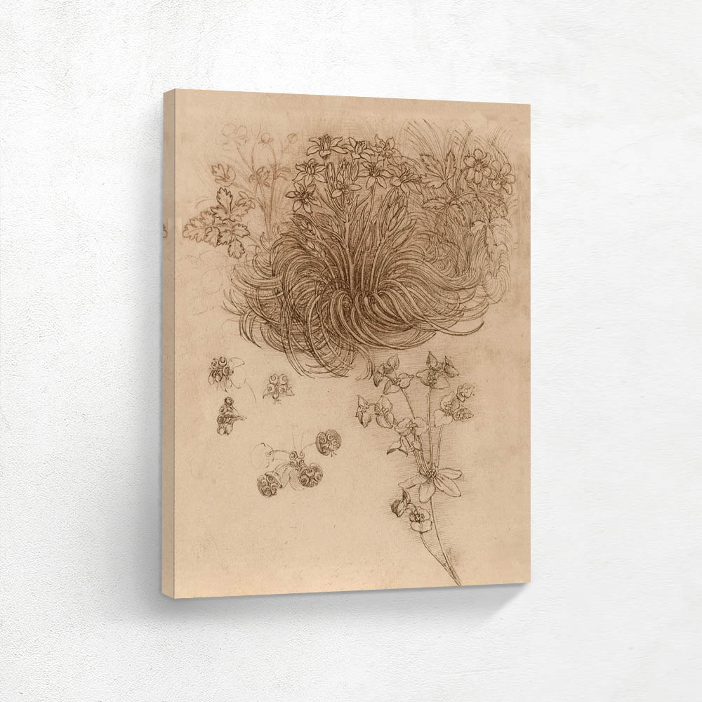 A Star of Bethlehem and Other Plants