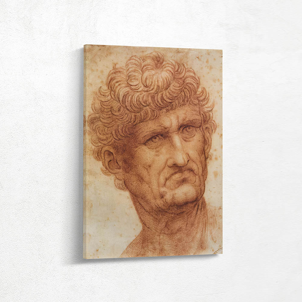 Head of a Man Head of a Man