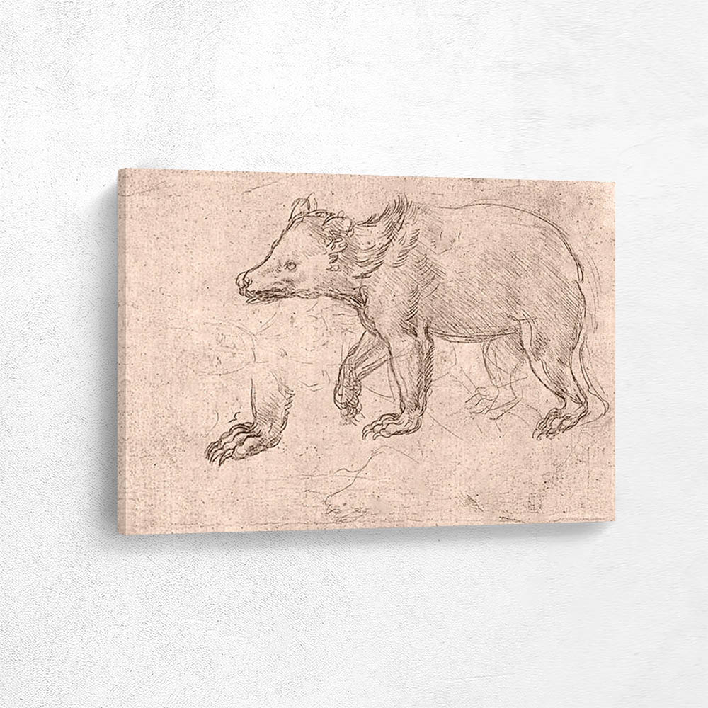 Study of Bear Walking