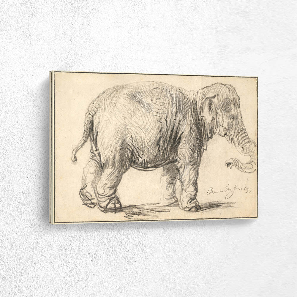 An Elephant