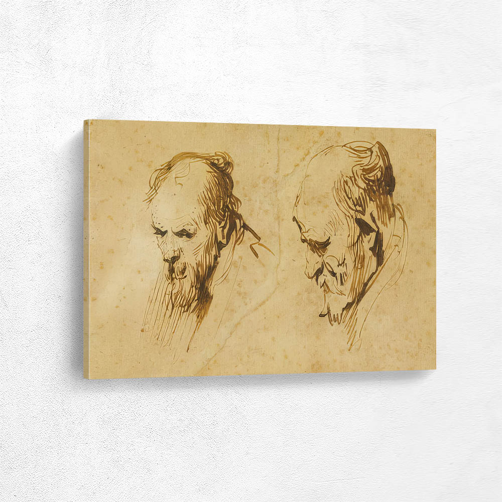 Two Studies of the Head of an Old Man