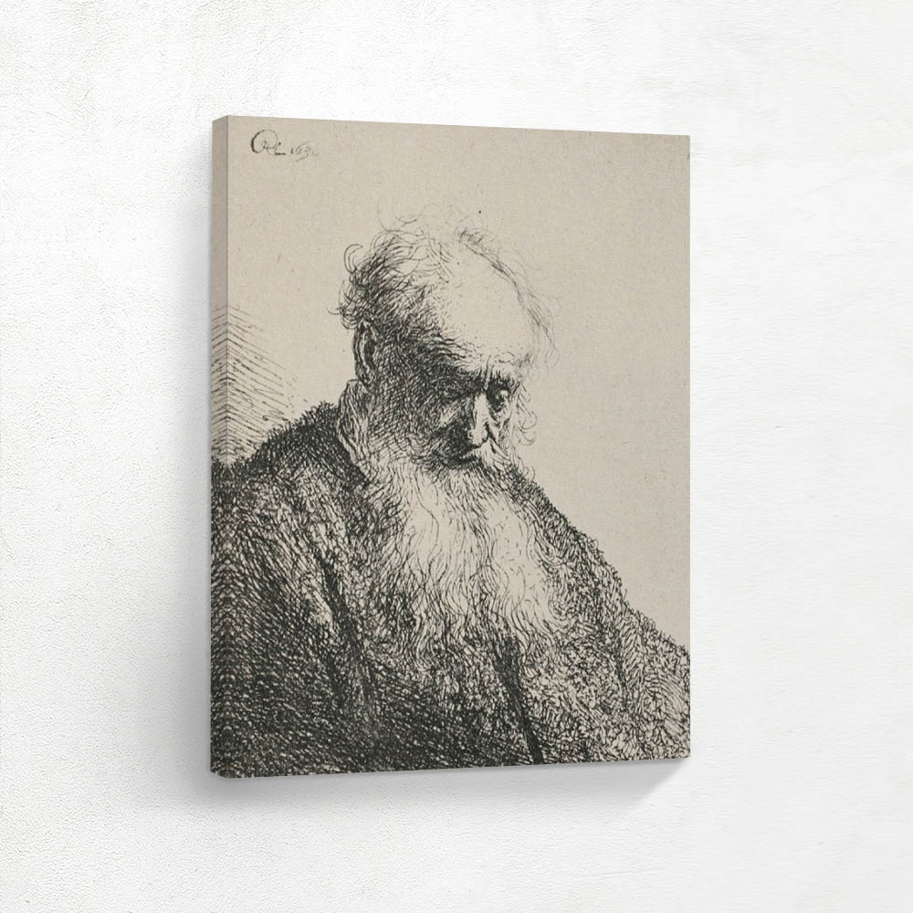 An Old Man with a Beard