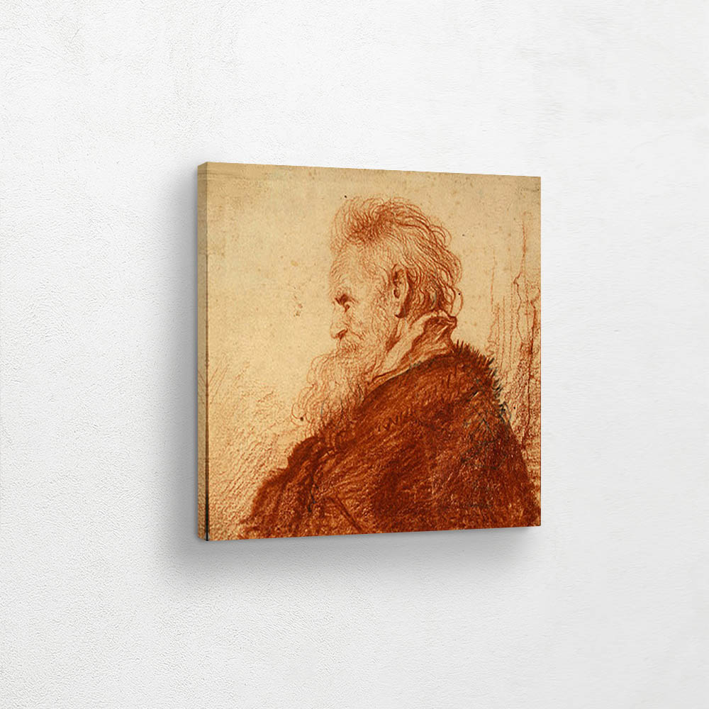 Head of an Old Man