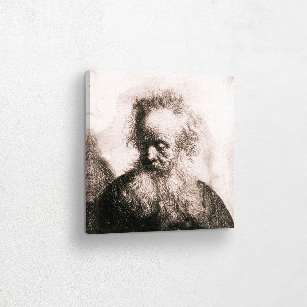 Old Man With Flowing Beard Looking down Left