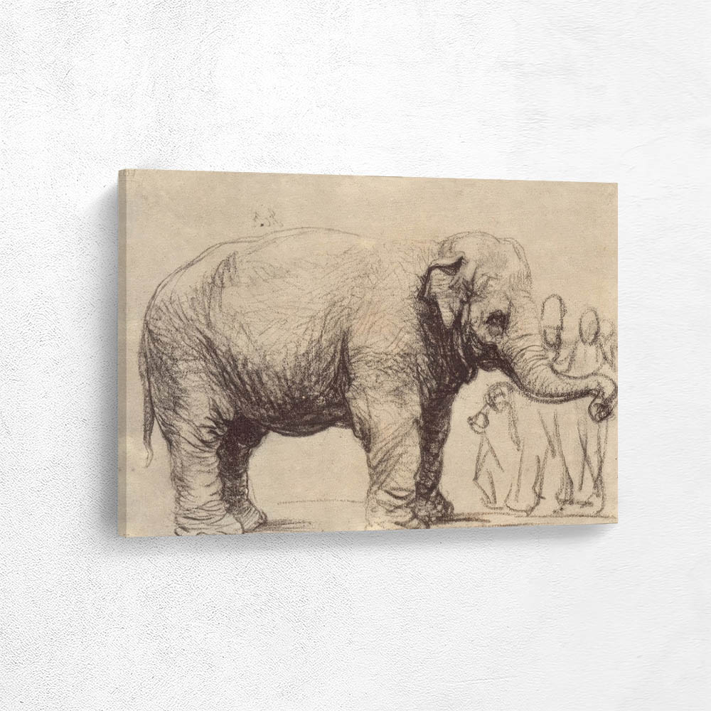An Elephant