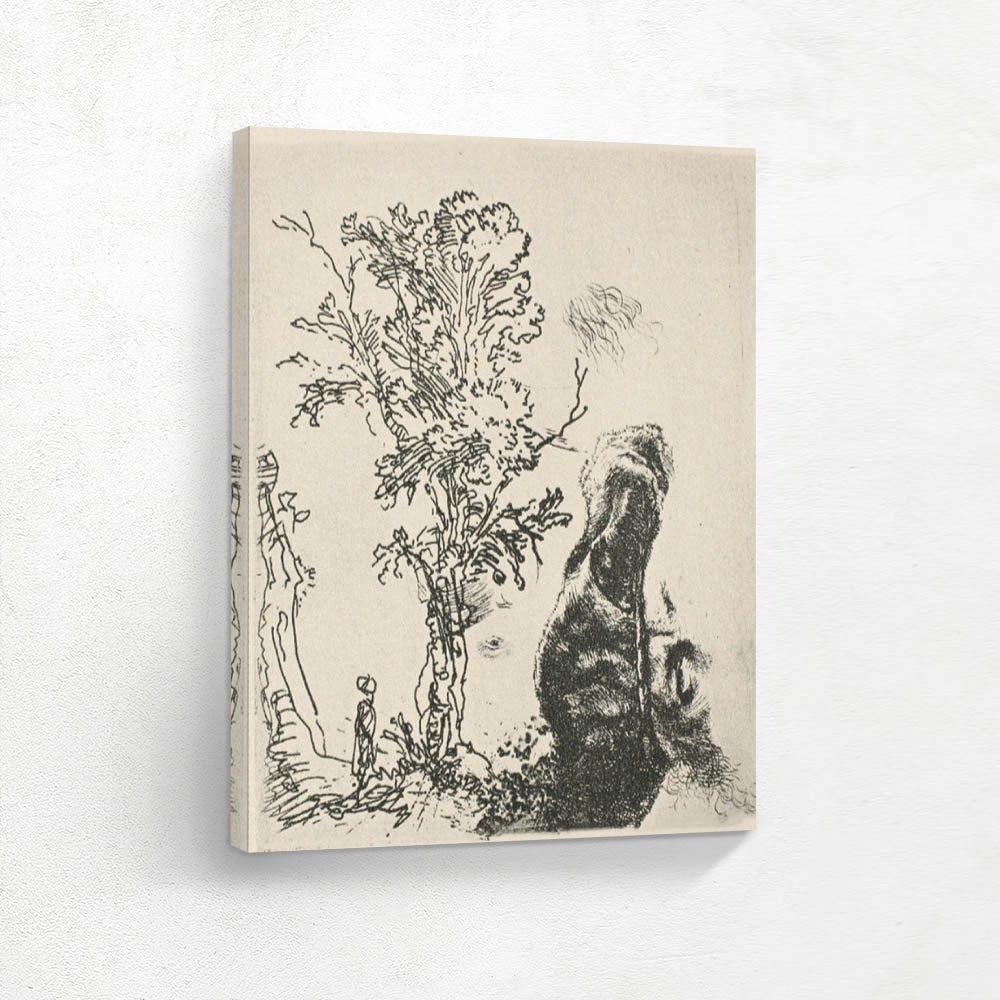 Sketch of a Tree