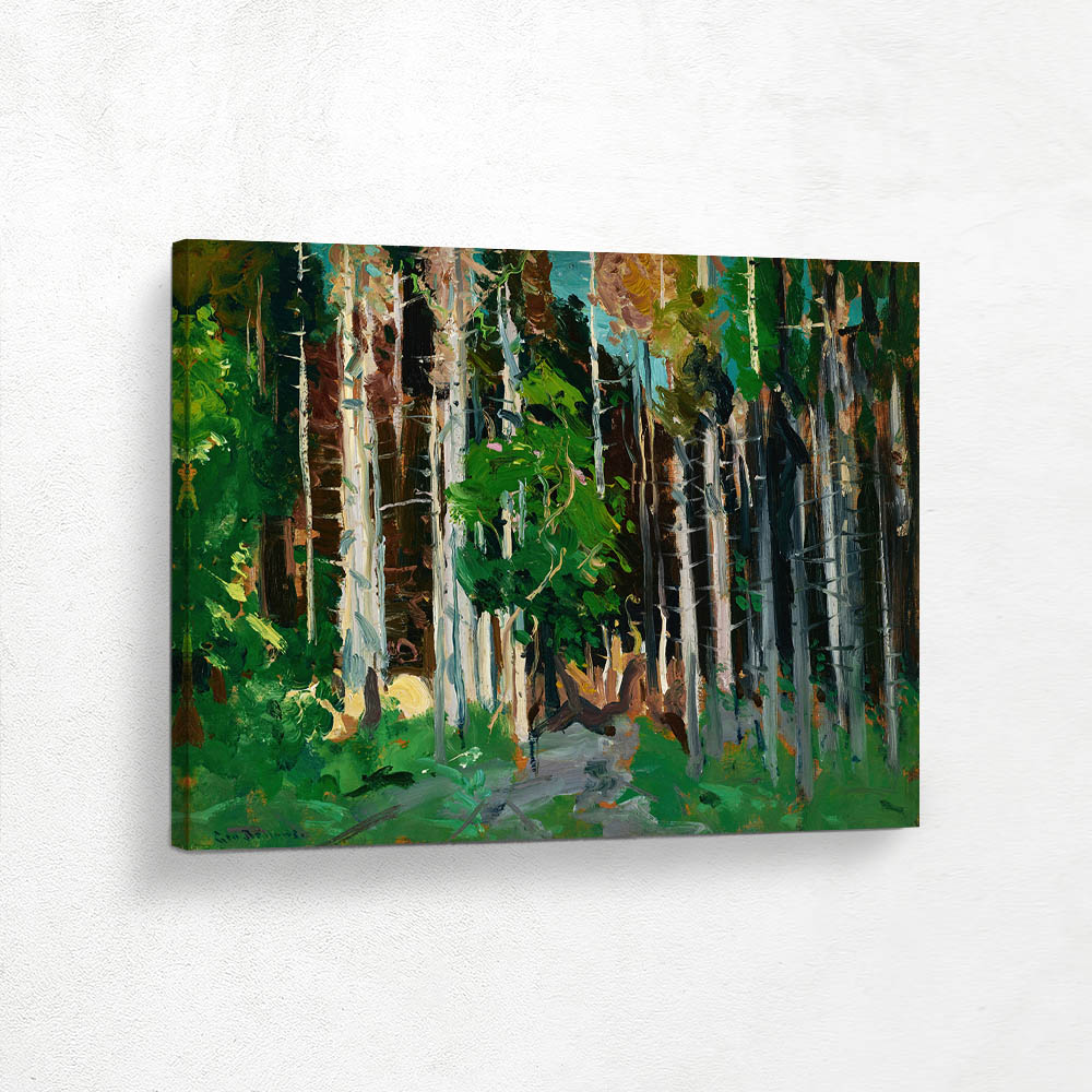 Through the Trees, Monhegan Island, Maine