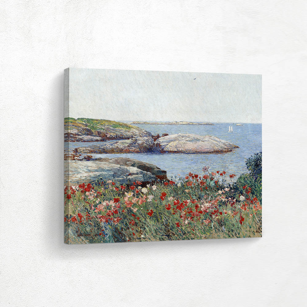 Poppies, Isles of Shoals