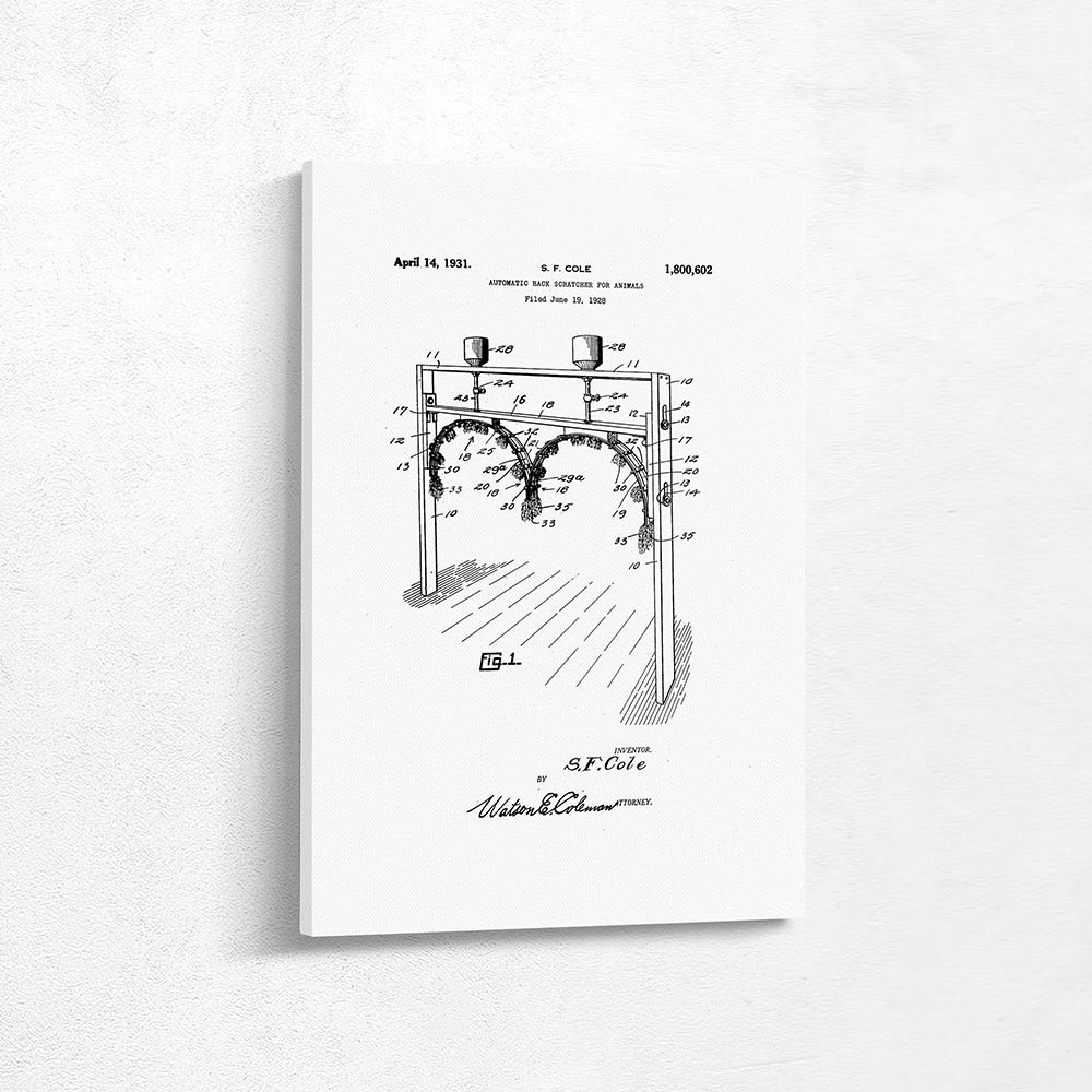 Automatic Back Scratcher for Animals