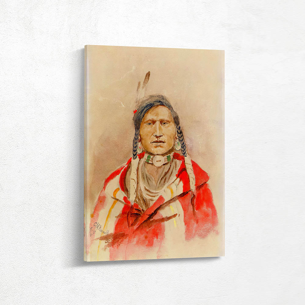 Portrait of an indian